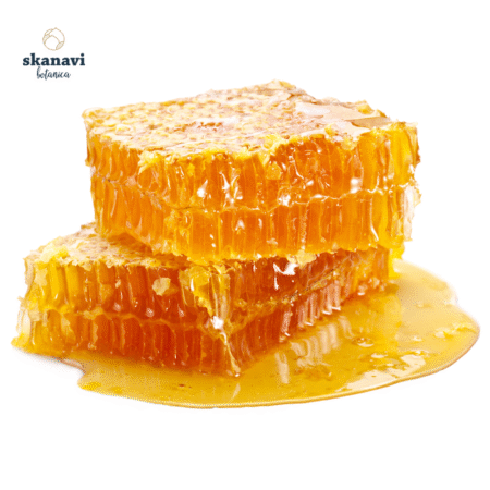 Κηρήθρα με μέλι σε κουτί – αγνό ελληνικό προϊόν μέλισσας