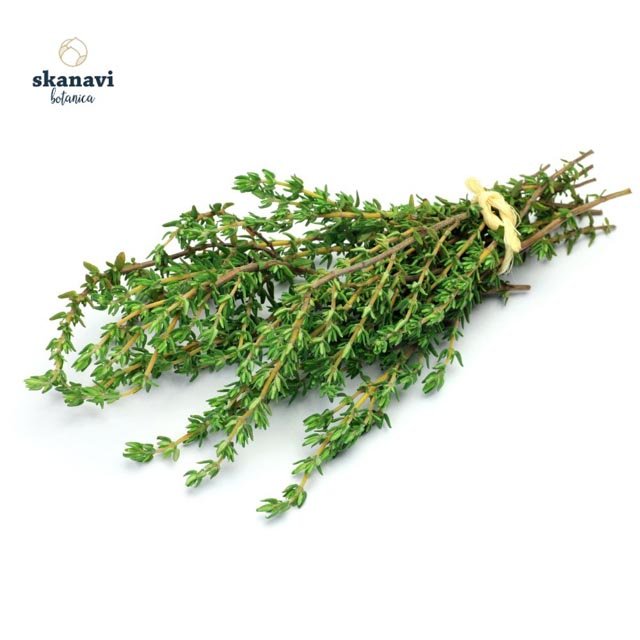 agrio-thymari-skanavibotanica Άγριο αποξηραμένο θυμάρι Skanavi Botanica με έντονο άρωμα.